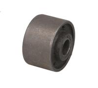 Braccio di montaggio, di controllo/longitudinale REINHOCH RH15-1011 GT 2 2003-