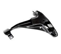 NTY Braccio Oscillante Sospensione Ruota Asse Ant. SX per Ford USA Explorer