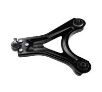 NTY Braccio oscillante, Sospensione ruota compatibile con FORD FORD USA