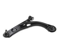 NTY Supporto, Braccio oscillante compatibile con FIAT LANCIA ZWD-FT-039