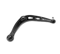 NTY ZWD-RE-014 Braccio oscillante, sospensione ruota