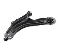 NTY ZWD-ME-053 Braccio oscillante, sospensione ruota