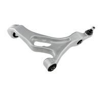NTY ZWD-AU-006 Braccio oscillante, sospensione ruota
