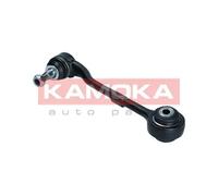 Braccio oscillante Assale anteriore Braccio longitudinale oscillante 9050057