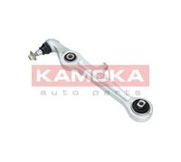 Braccio oscillante Assale anteriore Braccio longitudinale oscillante 9050159
