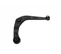 Braccio oscillante Assale anteriore Braccio trasversale oscillante FT15523 FAST
