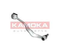 Braccio oscillante Assale anteriore Dx Braccio longitudinale oscillante 9050066