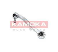 Braccio oscillante Assale anteriore Dx Braccio longitudinale oscillante 9050073