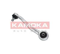 Braccio oscillante Assale anteriore Dx Braccio longitudinale oscillante 9050121