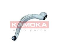 KAMOKA ASSALE ANTERIORE DX, INFERIORE, POSTERIORE