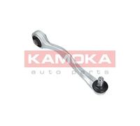 Braccio oscillante Assale anteriore Dx Braccio longitudinale oscillante 9050158
