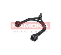 Braccio oscillante Assale anteriore Dx Braccio trasversale oscillante 9050006