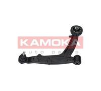 Braccio oscillante Assale anteriore Dx Braccio trasversale oscillante 9050016