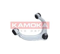 Braccio oscillante Assale anteriore Dx Braccio trasversale oscillante 9050087