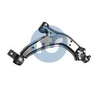 RTS 96-00557-1 Braccio oscillante, sospensione ruota