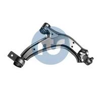 RTS 96-00789-1 Braccio oscillante, sospensione ruota