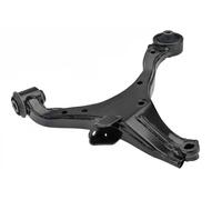 NTY Braccio oscillante, Sospensione ruota compatibile con HONDA ZWD-HD-060