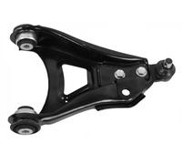 Sasic Braccio Osc Dx Re Clio Ii 4003366