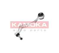 Braccio oscillante Assale anteriore Sx Braccio longitudinale oscillante 9050048