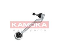 Braccio oscillante Assale anteriore Sx Braccio longitudinale oscillante 9050050