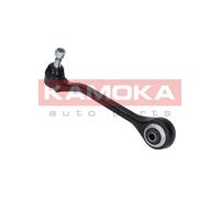 Braccio oscillante Assale anteriore Sx Braccio longitudinale oscillante 9050052