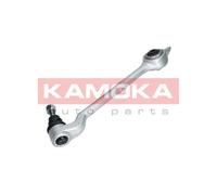 Braccio oscillante Assale anteriore Sx Braccio longitudinale oscillante 9050061