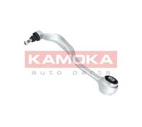 Braccio oscillante Assale anteriore Sx Braccio longitudinale oscillante 9050065
