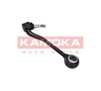 Braccio oscillante Assale anteriore Sx Braccio longitudinale oscillante 9050069