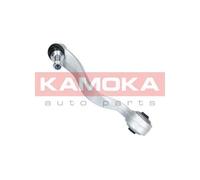Braccio oscillante Assale anteriore Sx Braccio longitudinale oscillante 9050072