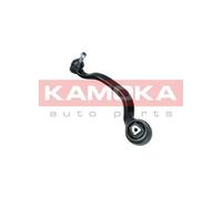 Braccio oscillante Assale anteriore Sx Braccio longitudinale oscillante 9050090