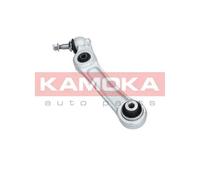 Braccio oscillante Assale anteriore Sx Braccio longitudinale oscillante 9050093