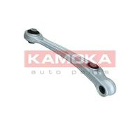 Braccio oscillante Assale anteriore Sx Braccio longitudinale oscillante 9050124
