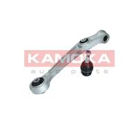 Braccio oscillante Assale anteriore Sx Braccio longitudinale oscillante 9050134