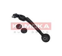 Braccio oscillante Assale anteriore Sx Braccio longitudinale oscillante 9050140