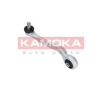 Braccio oscillante Assale anteriore Sx Braccio longitudinale oscillante 9050152