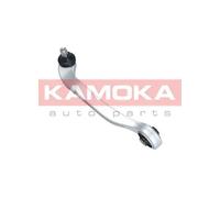 Braccio oscillante Assale anteriore Sx Braccio longitudinale oscillante 9050154