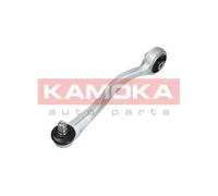 Braccio oscillante Assale anteriore Sx Braccio longitudinale oscillante 9050157