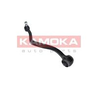 Braccio oscillante Assale anteriore Sx Braccio longitudinale oscillante 9050226