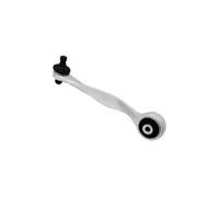 Braccio oscillante Assale anteriore Sx Braccio trasversale oscillante 110057210