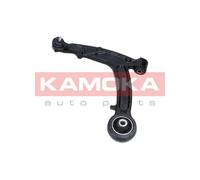 Braccio oscillante Assale anteriore Sx Braccio trasversale oscillante 9050015