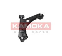 Braccio oscillante Assale anteriore Sx Braccio trasversale oscillante 9050019