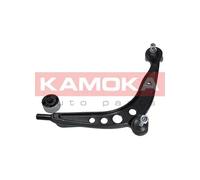 Braccio oscillante Assale anteriore Sx Braccio trasversale oscillante 9050067