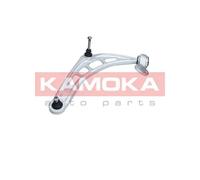 Braccio oscillante Assale anteriore Sx Braccio trasversale oscillante 9050084