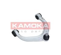 Braccio oscillante Assale anteriore Sx Braccio trasversale oscillante 9050086