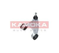 Braccio oscillante Assale anteriore Sx Braccio trasversale oscillante 9050104