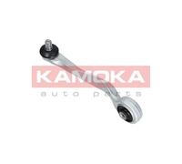 Braccio oscillante Assale anteriore Sx Braccio trasversale oscillante 9050145