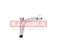 Braccio oscillante Assale anteriore Sx Braccio trasversale oscillante 9050332