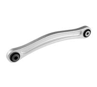 Braccio oscillante Assale posteriore Sx triangolare ZWT-VW-015 NTY per VW AUDI