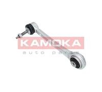 Braccio oscillante Assale posteriore Braccio longitudinale oscillante 9050060