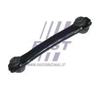 Braccio oscillante Assale posteriore Braccio trasversale oscillante FT15166 FAST